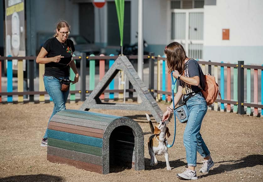 New dog park unveiled in Olhão|António Pina (second from the right) at the Levante dog park inauguration|New dog park unveiled in Olhão|New dog park unveiled in Olhão