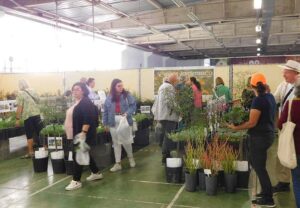 Autumn Mediterranean Gardening Fair