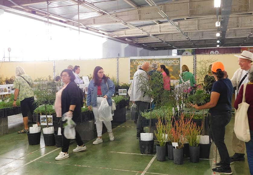 Mediterranean Gardening Fair|Mediterranean Gardening Fair|Mediterranean Gardening Fair|Mediterranean Gardening Fair