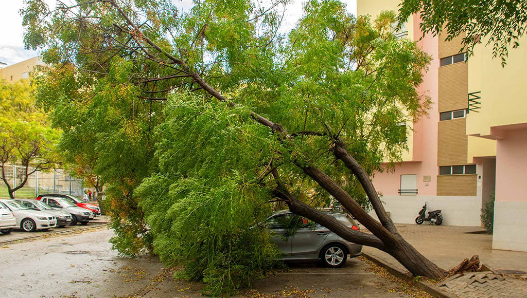 Algarve hit the hardest by Storm Bernard