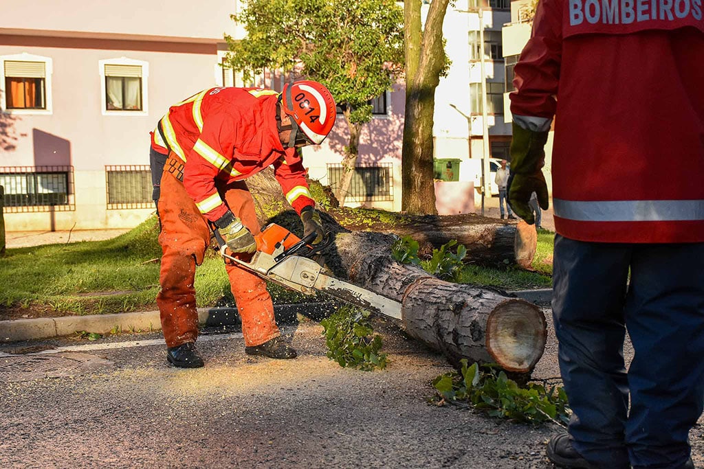 Algarve hit the hardest by Storm Bernard