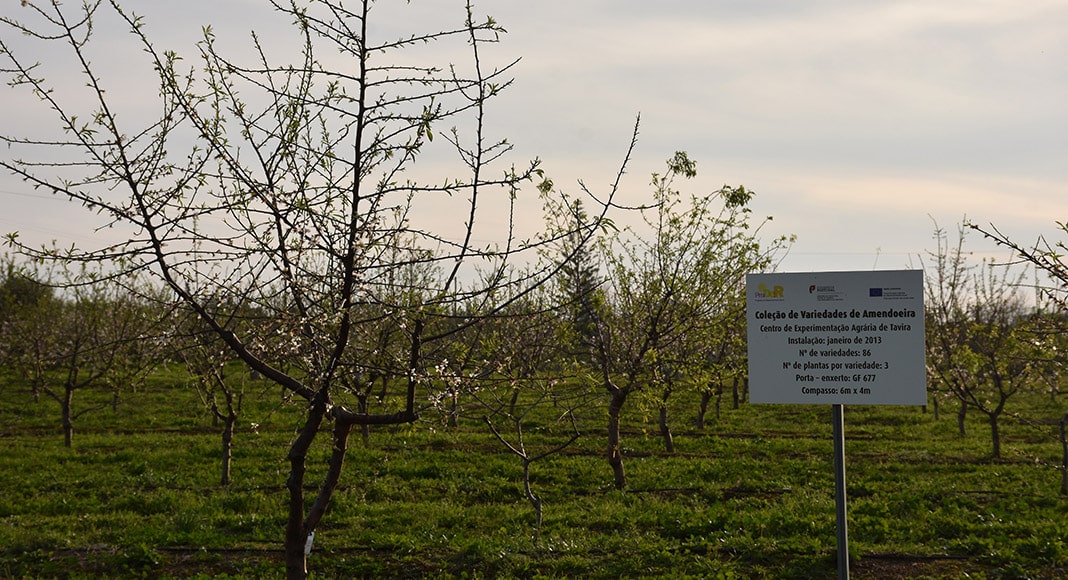 Tavira to become hub for healthy living and active ageing|Tavira to become hub for healthy living and active ageing|Tavira to become hub for healthy living and active ageing|Tavira to become hub for healthy living and active ageing