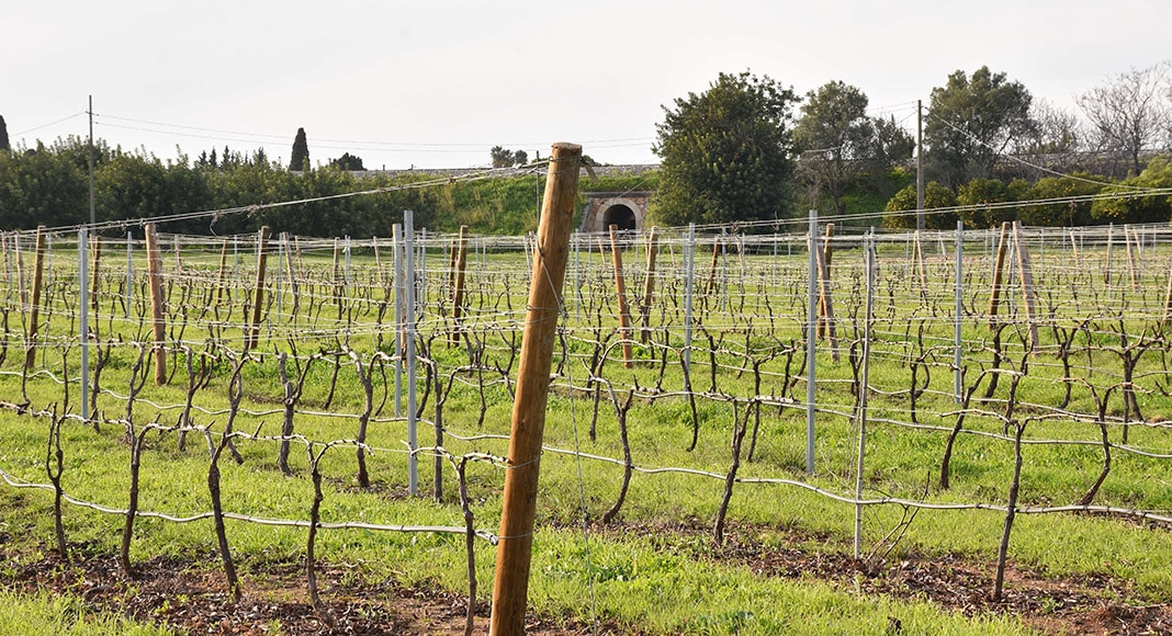 Tavira to become hub for healthy living and active ageing