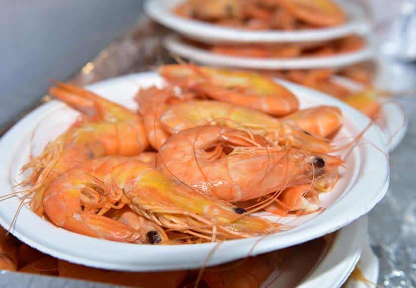 prawns on a plate|Toy|Lavada, the process of bringing fishing nets ashore
