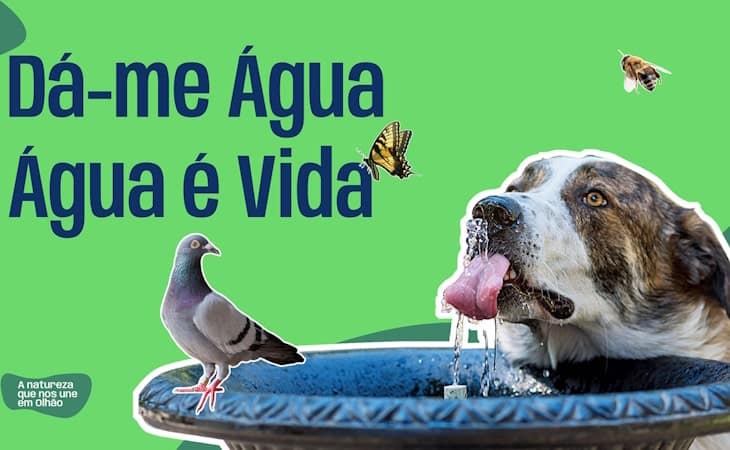 Dá me Água Dá me Vida