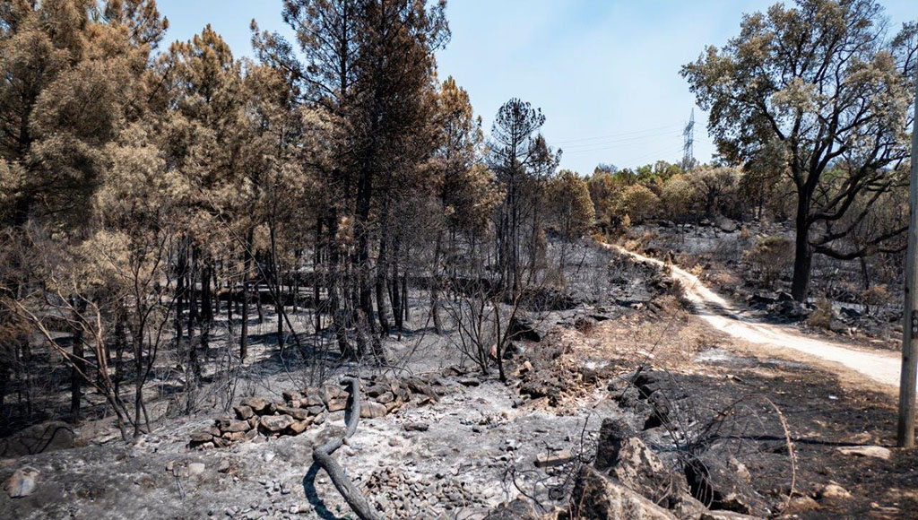 Fires can lead to slope failure by destroying vegetation, weakening root systems, and altering soil structure