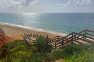 Authorities accused of “justifying the unjustifiable” over desalination in Algarve