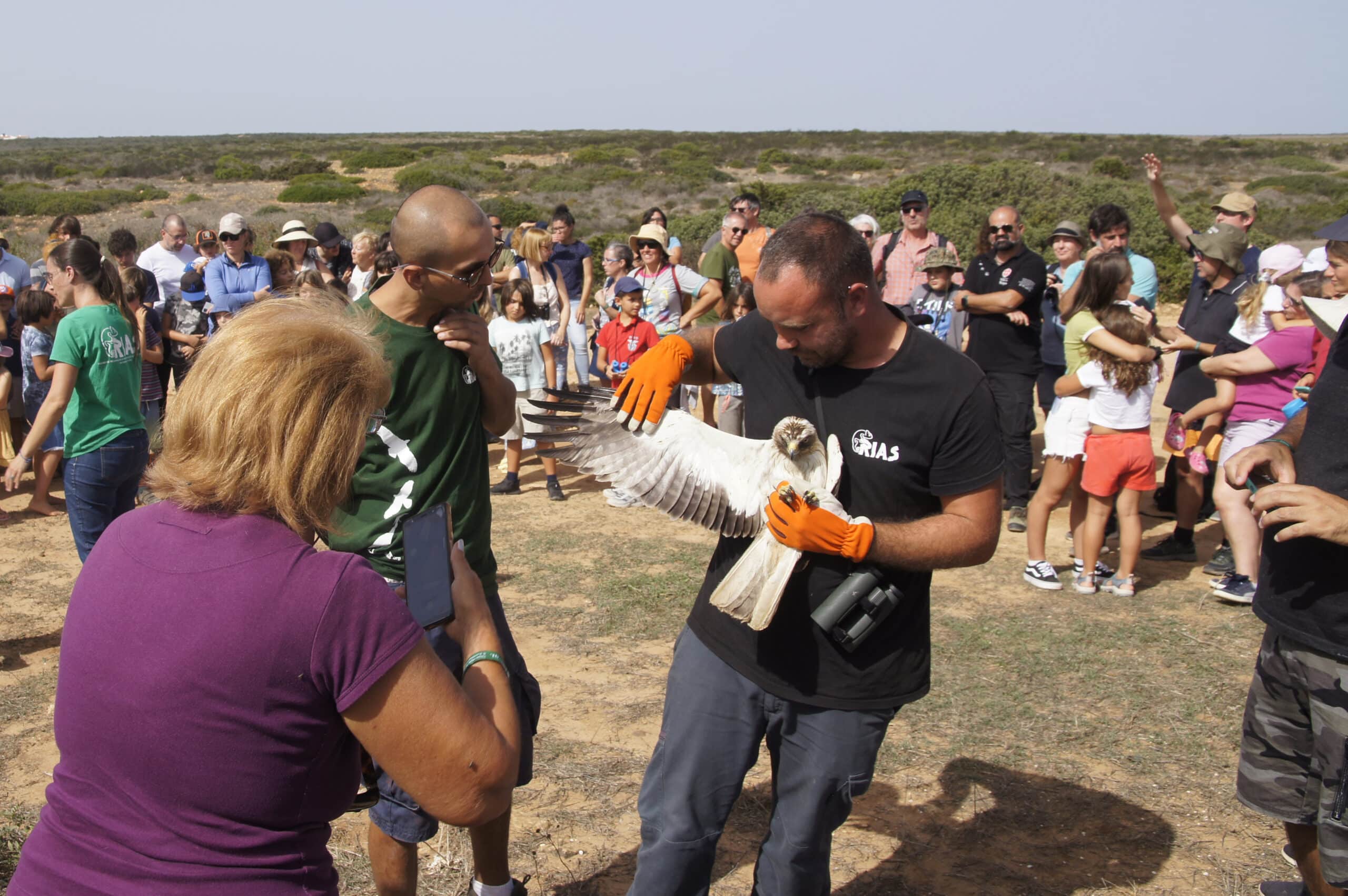 Registrations open for Sagres Birdwatching Festival events