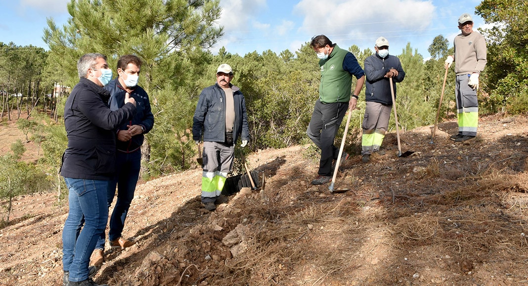 Loulé joins Life Terra project and helps plant ‘one tree per European citizen’|Loulé joins Life Terra project and helps plant ‘one tree per European citizen’|Loulé joins Life Terra project and helps plant ‘one tree per European citizen’|Loulé joins Life Terra project and helps plant ‘one tree per European citizen’
