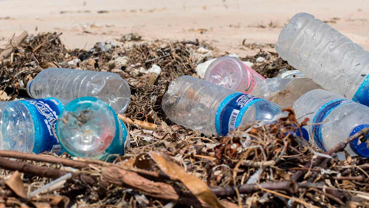 Dia-Internacional-de-Limpeza-Costeira-02