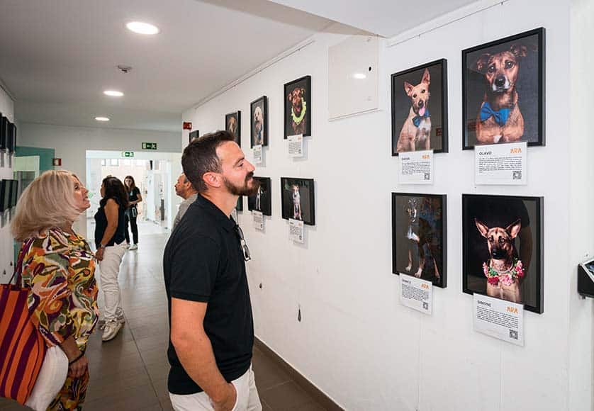 Photographic exhibition by Carlos Filipe