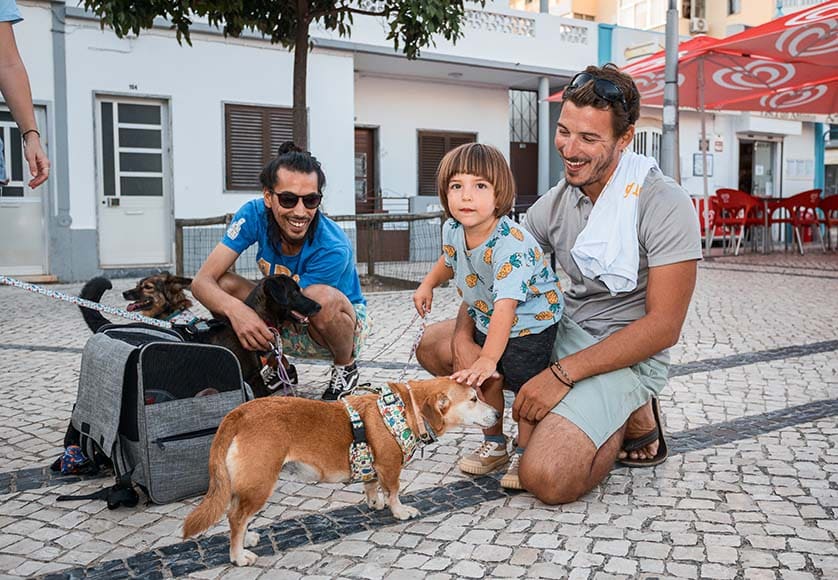 Charity dog walk|João Ferreira from ARA|Photographic exhibition by Carlos Filipe|Promoting animal welfare among the youngest