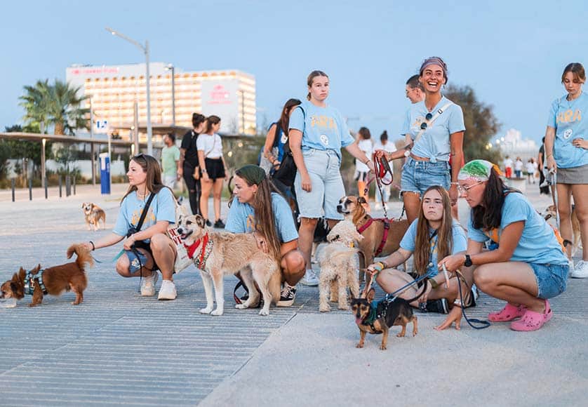 Promoting animal welfare among the youngest