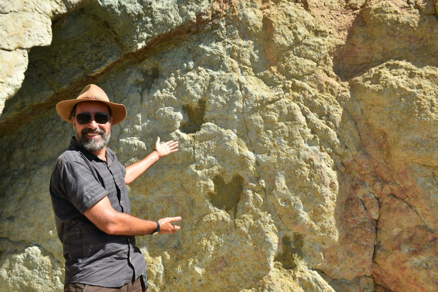 Dinosaur footprints uncovered at Albufeira beach|Dinosaur footprints uncovered at Albufeira beach|Dinosaur footprints uncovered at Albufeira beach|Dinosaur footprints uncovered at Albufeira beach|Dinosaur footprints uncovered at Albufeira beach|Dinosaur footprints uncovered at Albufeira beach|Dinosaur footprints uncovered at Albufeira beach|Dinosaur footprints uncovered at Albufeira beach