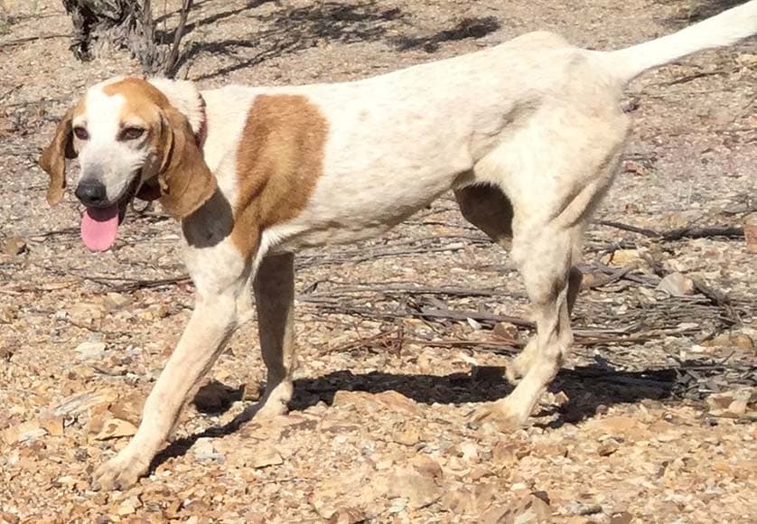 What’s the point? SNiP’s the point!|What’s the point? SNiP’s the point!|What’s the point? SNiP’s the point!