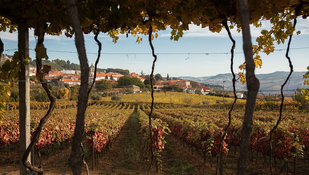 Douro (27)|Douro (1)