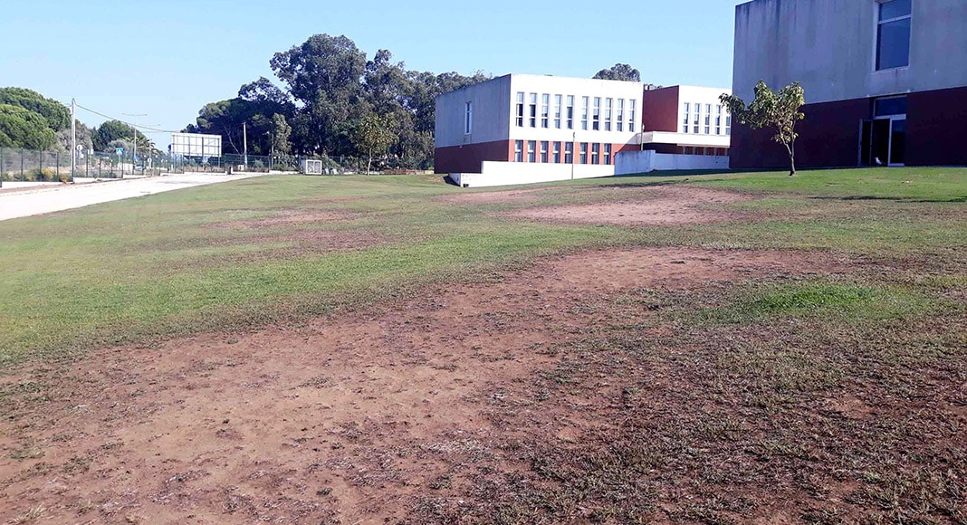 Portimão school embraces tree planting drive|Portimão school embraces tree planting drive