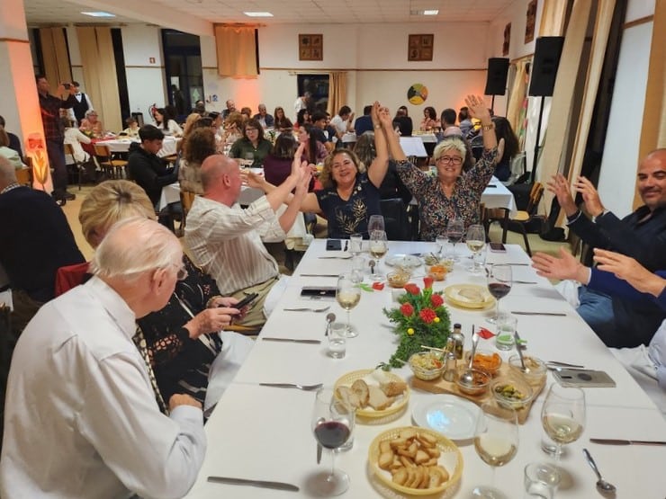 Estoi Rotary carnation|Estoi Rotary carnation