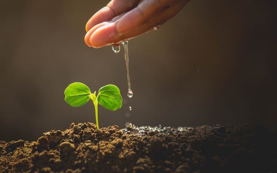 Faro hosts Water Sustainability Summit