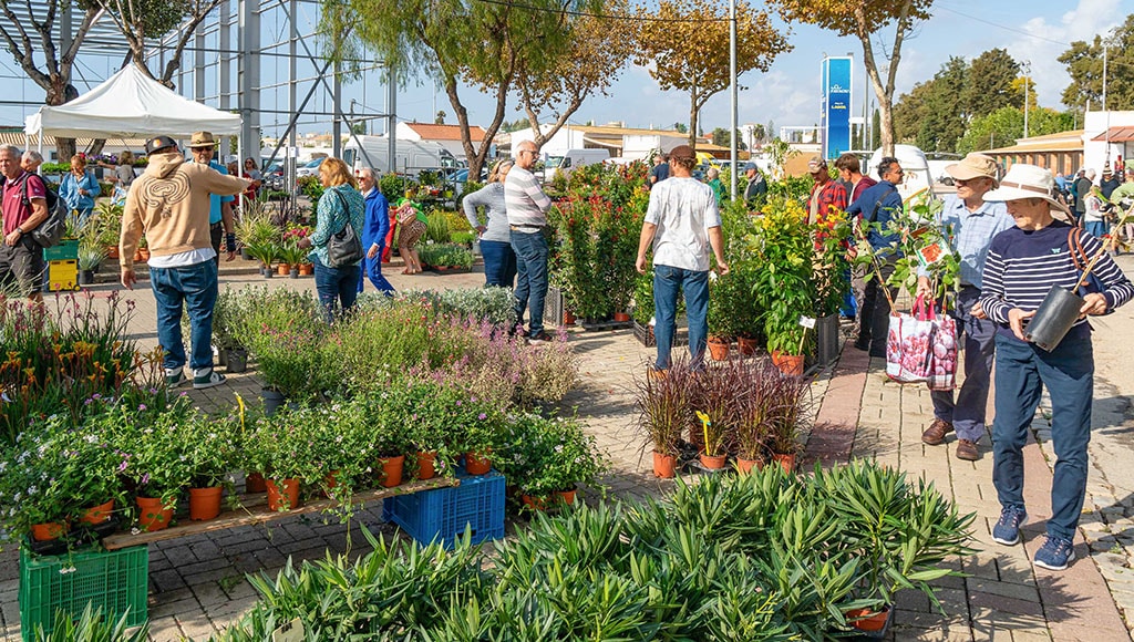 Fatacil Showground of Lagoa provided an excellent location for the garden fair|Autumn Mediterranean Garden Fair|Município de Lagoa kindly provided the Fatacil Showground|One of the free talks at the Autumn Mediterranean Garden Fair|Plethora of trees and plants to choose from