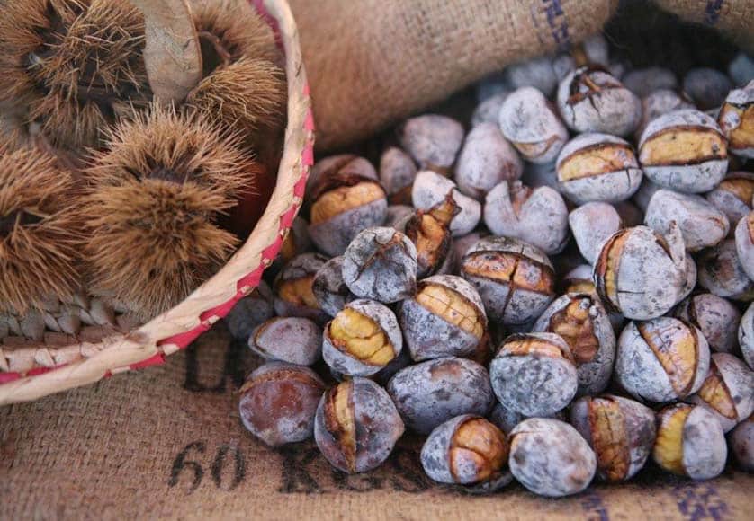 São Martinho fair begins in Portimão this week