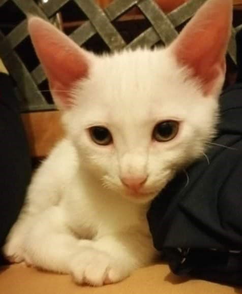 Leftovers – what do you with them?