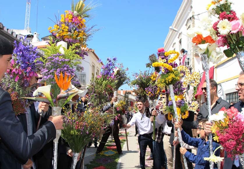 Festival of Flower Torches, São Brás|RBL logo