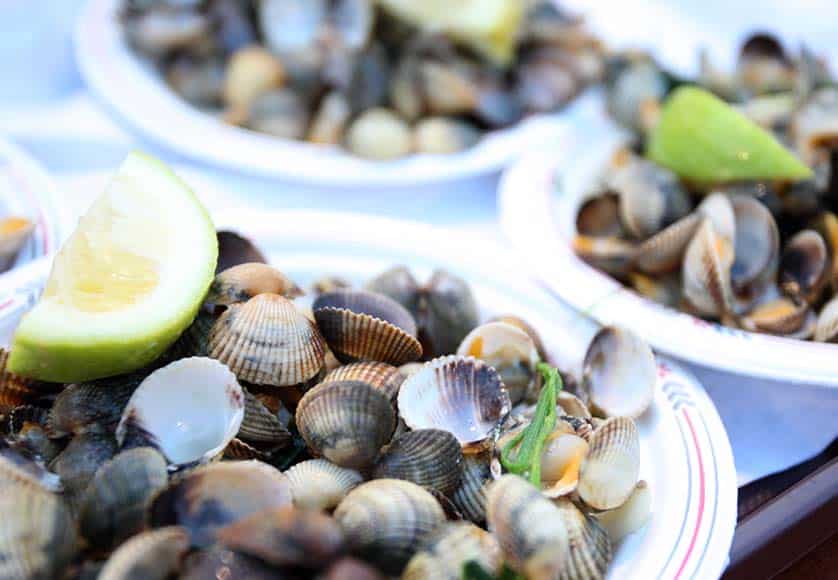 It's almost time for Figueira's Cockle Festival|It's almost time for Figueira's Cockle Festival|It's almost time for Figueira's Cockle Festival