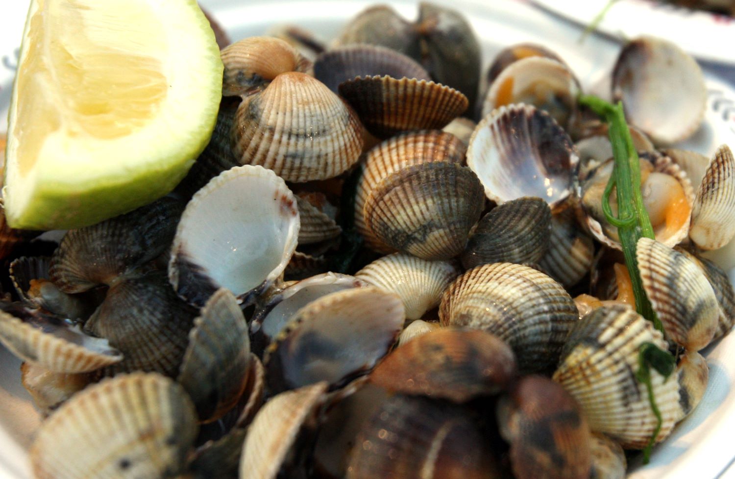 Festival Berbigão 3|Festival Berbigão 2|Giletes d'Aço