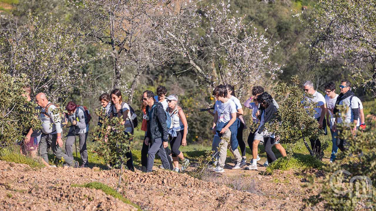 Over 10,000 people visited the third edition of ‘Festival das Amendoeiras em Flor’, an event inspired by the Algarve’s stunning almond blossoms