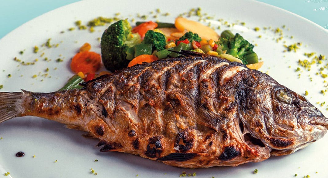 “Successful” Sargo Festival to return in 2023|“Successful” Sargo Festival to return in 2023|“Successful” Sargo Festival to return in 2023