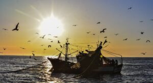 Algarve fishermen up ante in battle to stop desalination