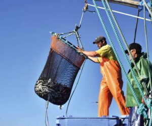 Fishing quotas on line in new meeting in Brussels