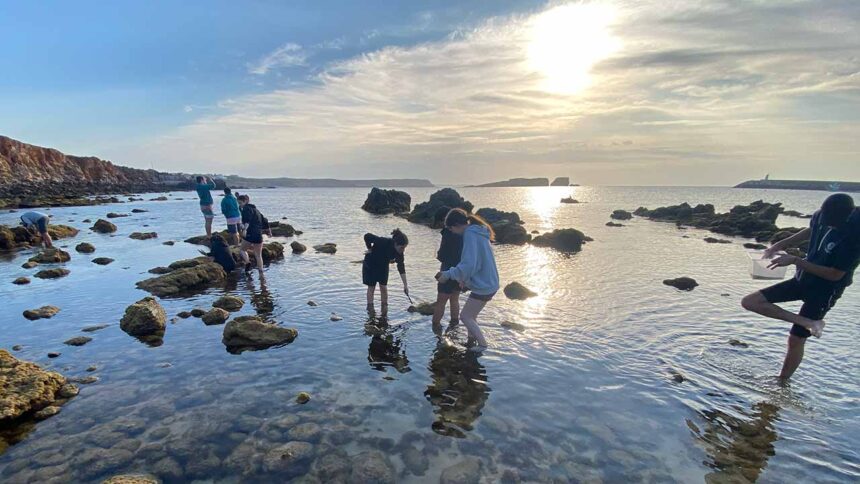 Marine Forest Festival comes to Sagres|Marine Forest Festival comes to Sagres|Marine Forest Festival comes to Sagres