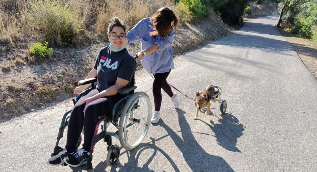 Animal Rescue Algarve visits Loulé schools to promote animal welfare|Animal Rescue Algarve visits Loulé schools to promote animal welfare|Animal Rescue Algarve visits Loulé schools to promote animal welfare|Animal Rescue Algarve visits Loulé schools to promote animal welfare|Animal Rescue Algarve visits Loulé schools to promote animal welfare