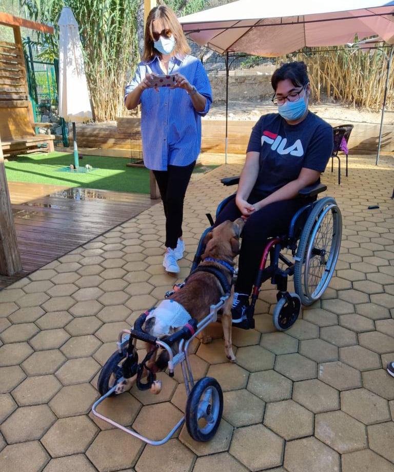 Animal Rescue Algarve visits Loulé schools to promote animal welfare