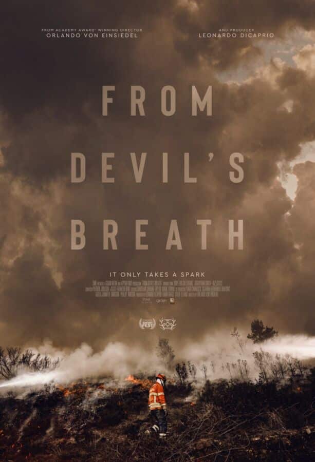 DiCaprio film about Pedrógão fire screened in Loulé