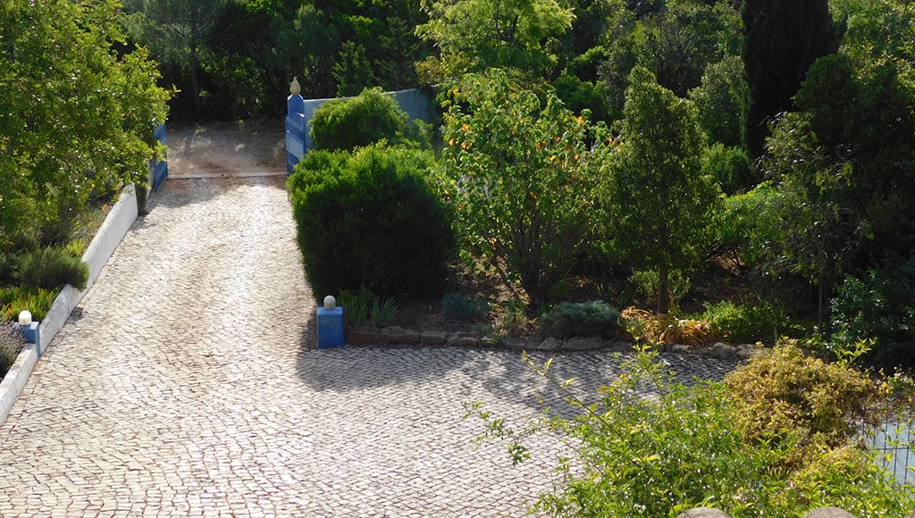 Front garden 2024|Back garden 2004|Boulder garden|Front garden 2004|pathway and cistus
