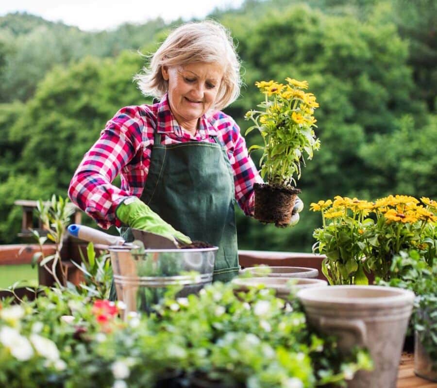 Gardening in pots|Courtyard fountain|Courtyard pots|Ipomea flower urn|Roof deck planters|Succulents in clay dishes|Succulents in pots