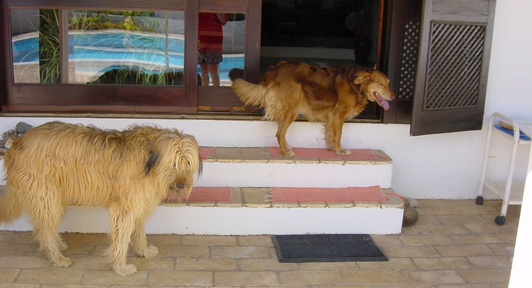 Leftovers – what do you with them?