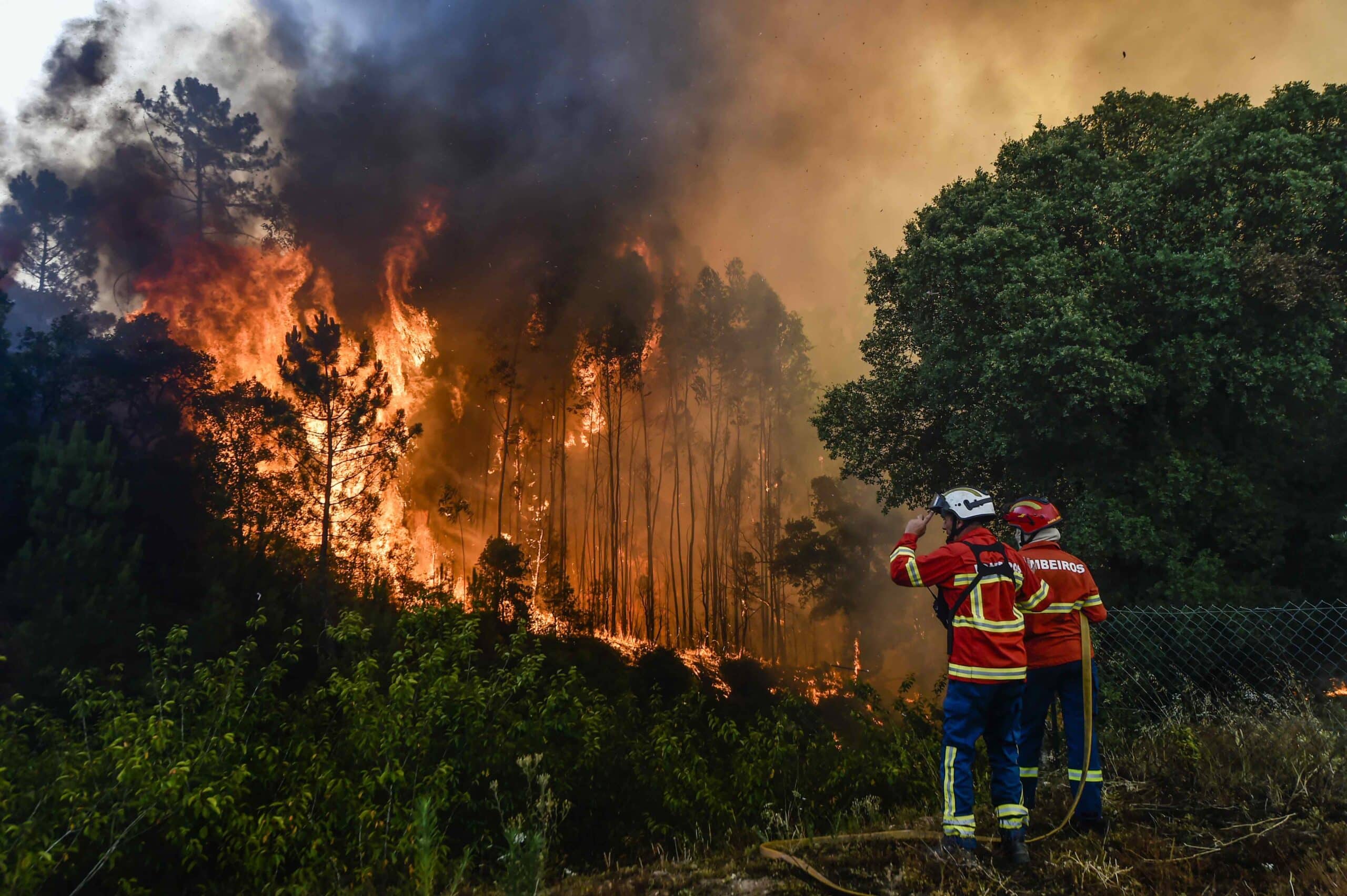 Google extends AI fire mapping tool to Portugal and 14 other countries
