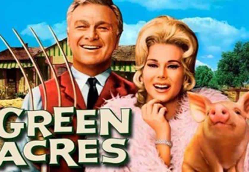 Green Acres|Barbie Dreamhouse|Guy on Phone