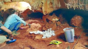 Discover traces of Neanderthal occupation in Portimão’s cave network