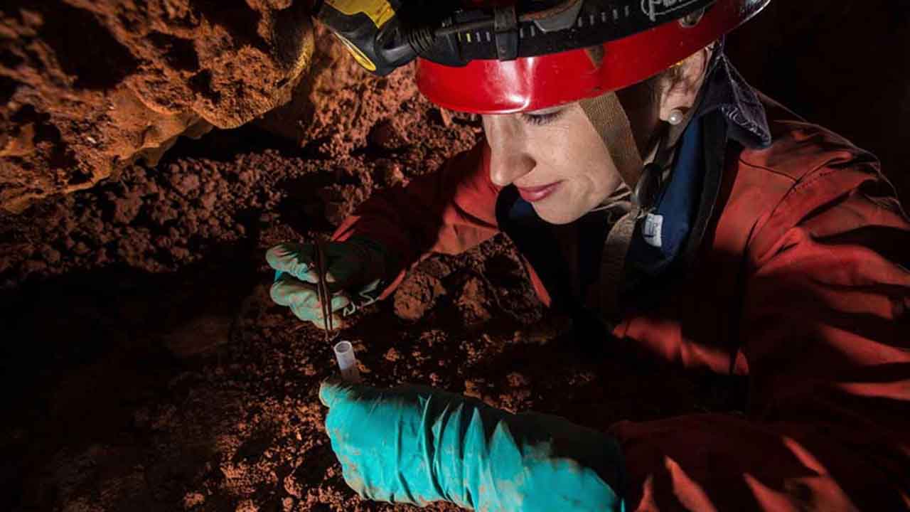 Scientists to study underground biodiversity in Loulé cave|Gruta-do-Vale-Telheiro-1|Gruta-do-Vale-Telheiro-2