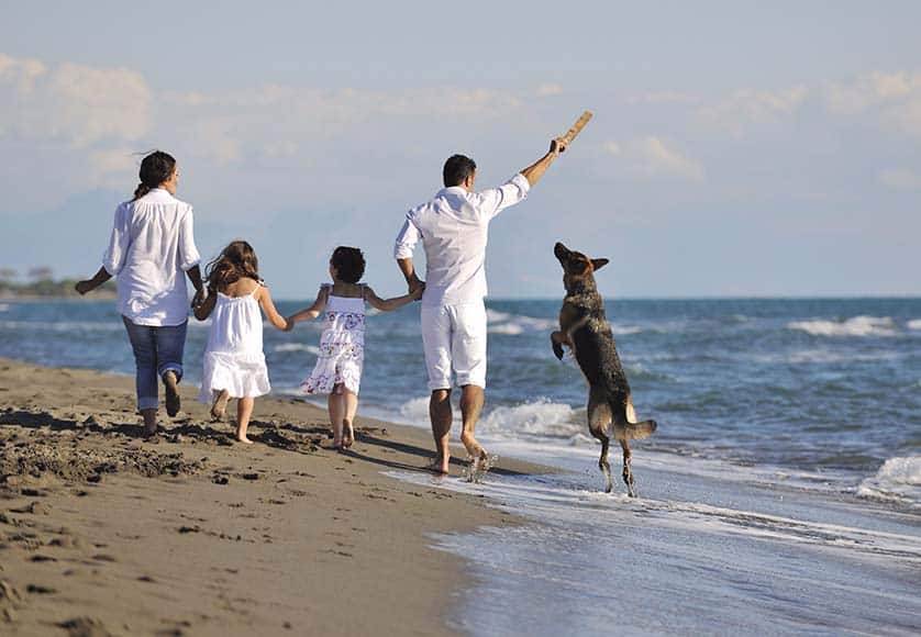 family on the beach|dog