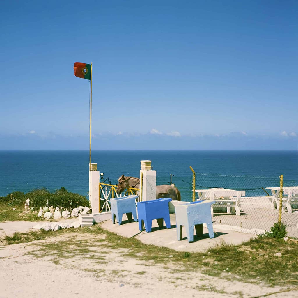 Hidden-Book-of-Odds-©Vasco-Celio-scaled