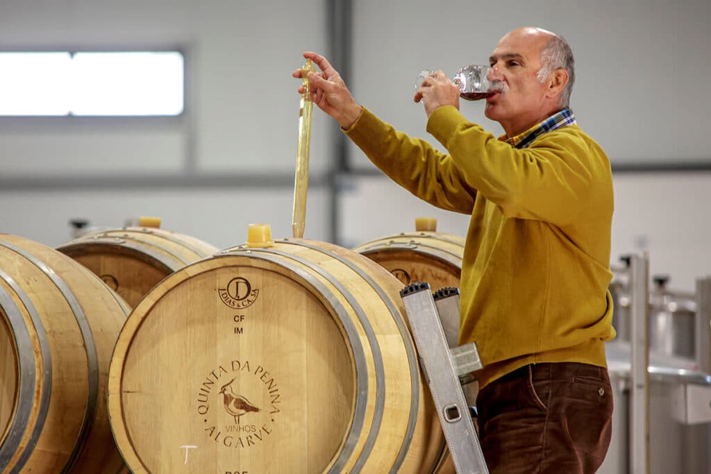Quinta Penina producer, João Mariano|Negra Mole wine course in Lagoa|Quinta da Penina Negra Mole