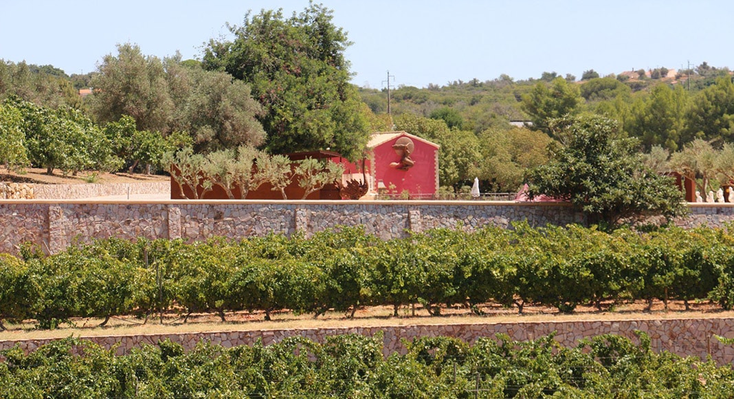 How to Describe Wine as a True Professional