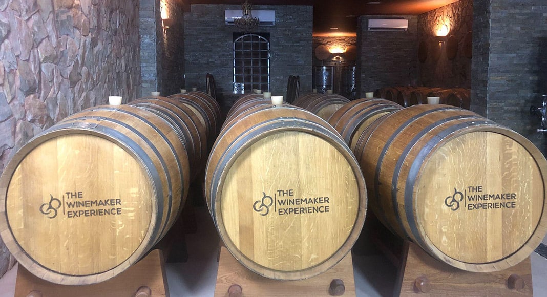 How to Describe Wine as a True Professional