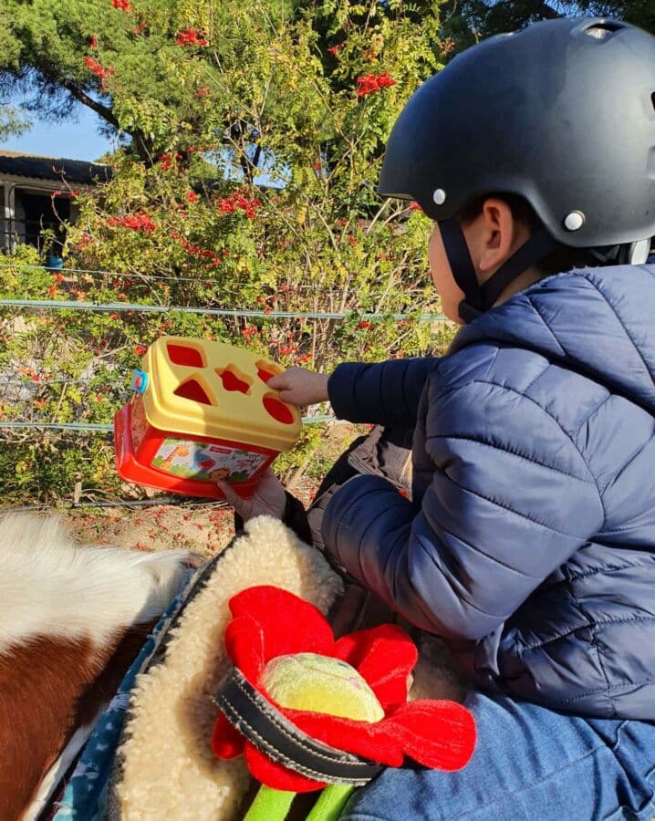 Pinetrees Therapeutic Riding programme re-starts soon; volunteers needed!